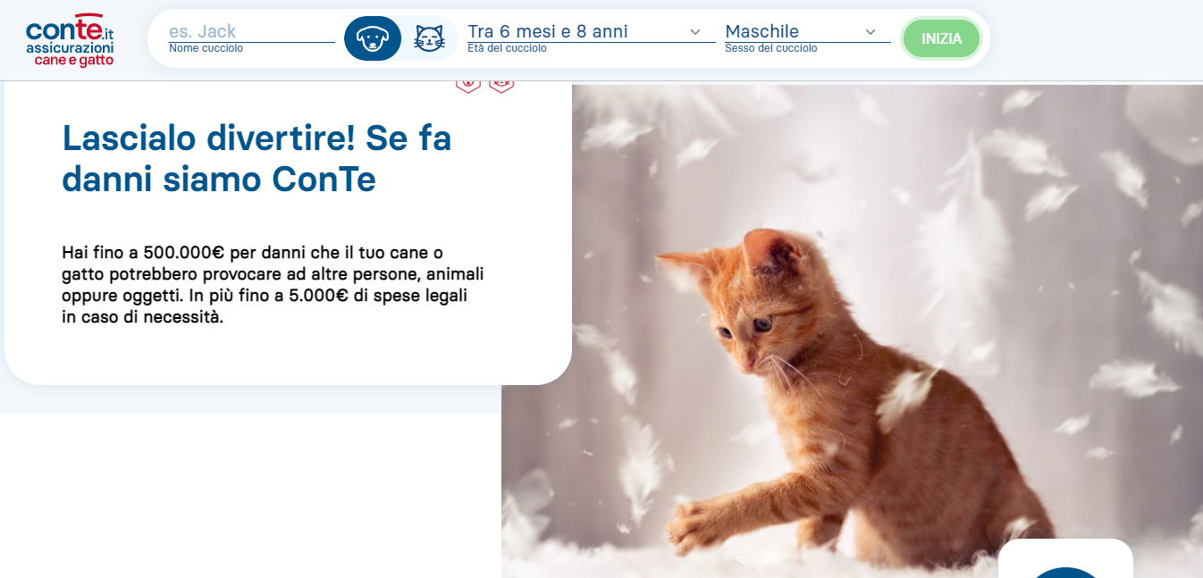 Conte assicurazione Gatto codice sconto
