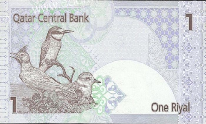 Cambio Valuta Qatar