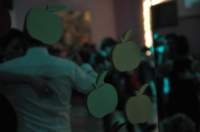 _10200381291242501_307917572_n_small.jpg