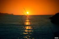 _10201023306332275_2115057615_n_small.jpg