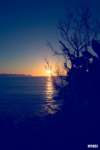 _10201029536408023_1589275016_n_small.jpg