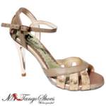 cielo-2T cielo2t_small.jpg